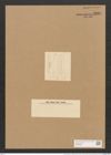 Schizonema setaceum var. polyclados (Ktz.) Grun. (de-Toni-Nr.: Genus 20, Species 1192) Zeichnungen Sammlung Grunow Nr. 2298 (NHMW-BOT-W0369420)